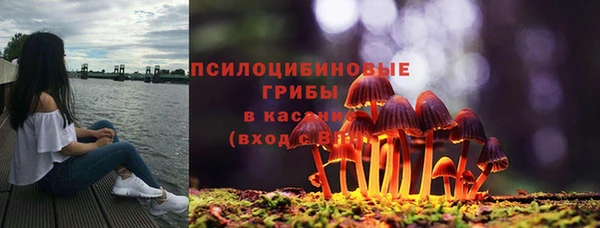 тгк Абдулино